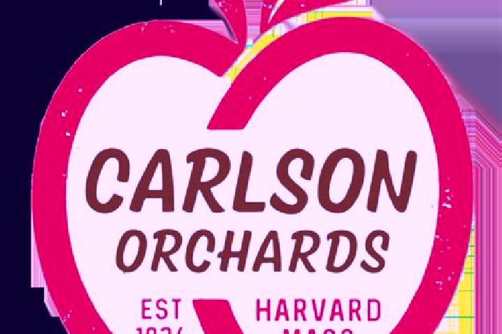 Escorts Orchards, United States — Local Companions