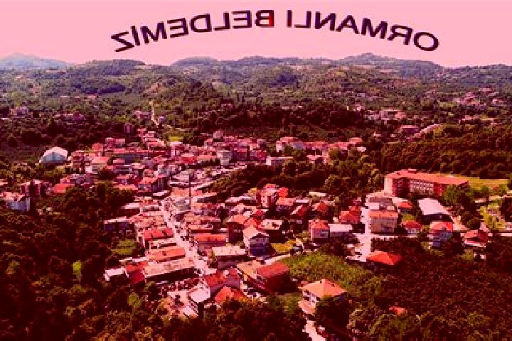 Escorts Ormanli, Turkey — Local Companions