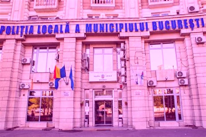 Escorts Orvisele, Romania — Local Companions
