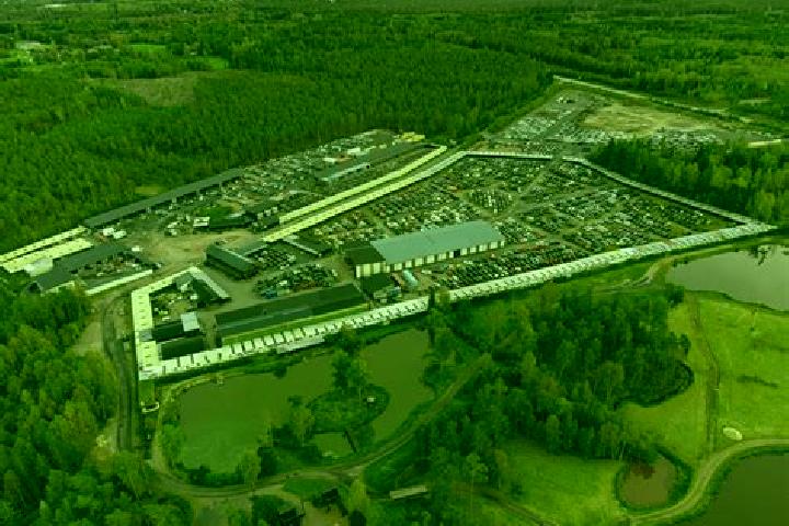 Escorts Osby, Sweden — Local Companions