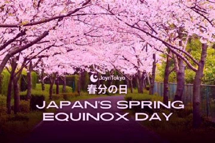 Escorts Oshiage, Japan — Local Companions
