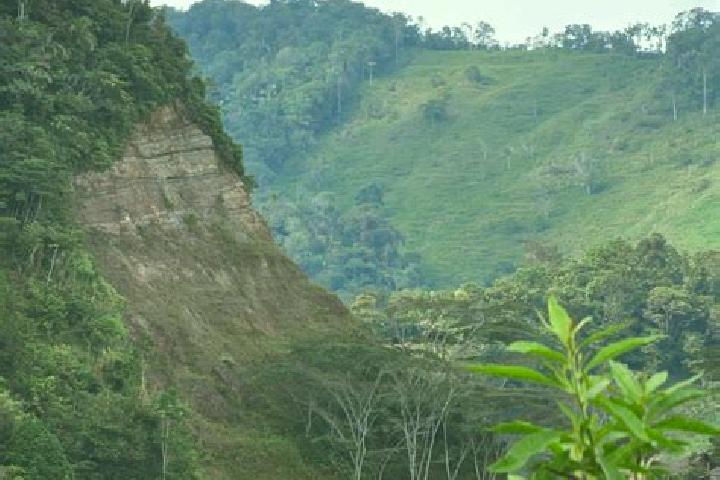 Escorts Otanche, Colombia — Local Companions