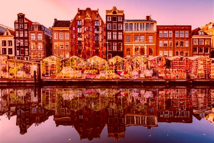 Escorts Othene, Netherlands — Local Companions