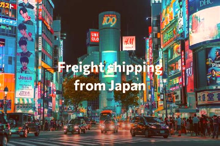 Escorts Otoineppu, Japan — Local Companions