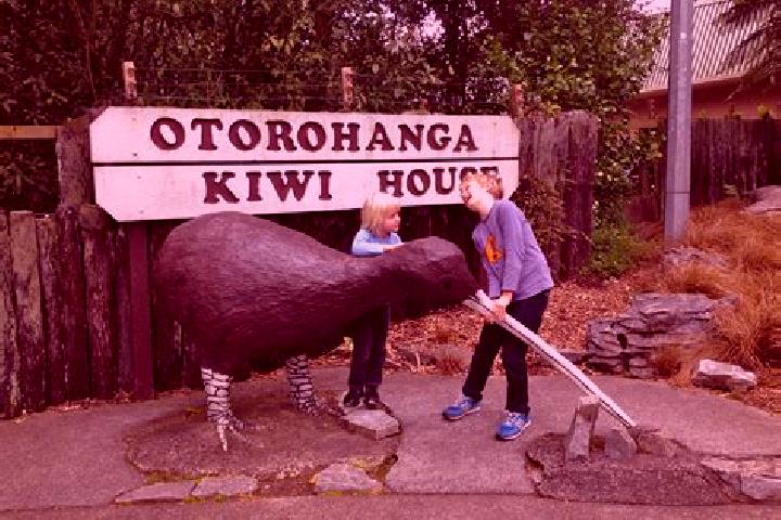 Escorts Otorohanga, New Zealand — Local Companions