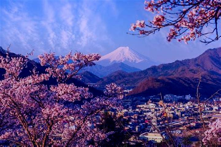 Escorts Otsuki, Japan — Local Companions