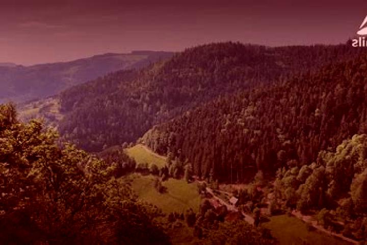 Escorts Ottenhofen im Schwarzwald, Germany — Local Companions