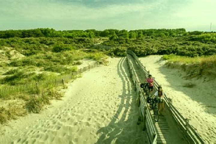 Escorts Oye-Plage, France — Local Companions