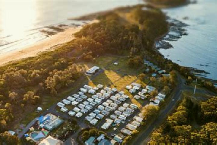 Escorts Pacific Haven, Australia — Local Companions