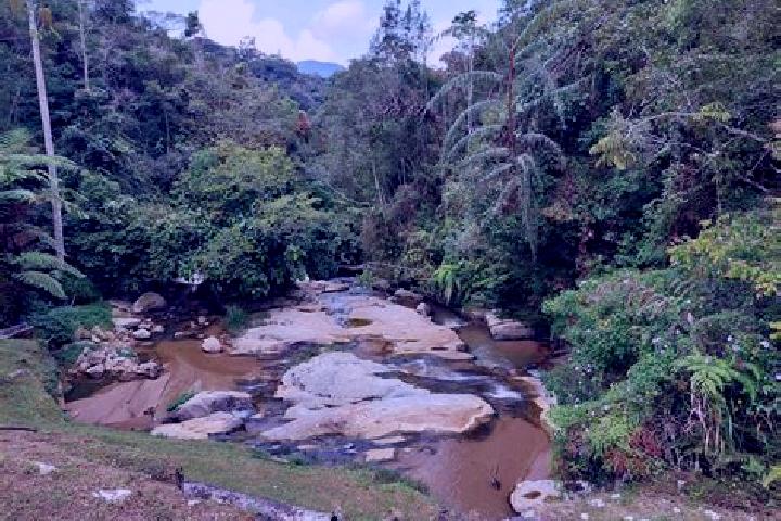 Escorts Padang Endau, Malaysia — Local Companions