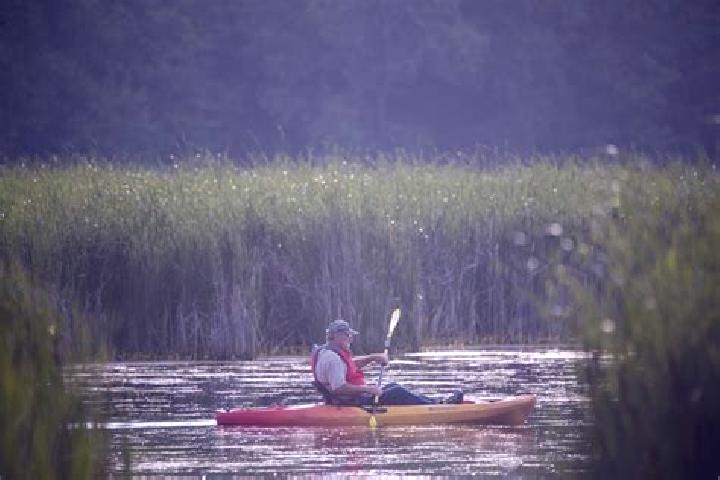Escorts Paddle Prairie, Canada — Local Companions
