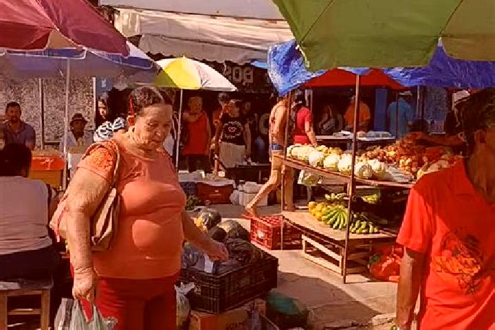 Escorts Padre Paraiso, Brazil — Local Companions