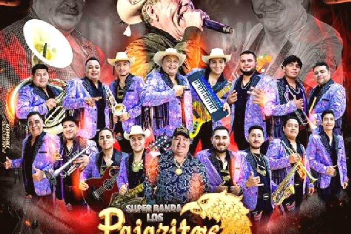 Escorts Pajaritos, Mexico — Local Companions