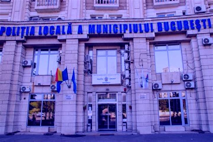 Escorts Palilula, Romania — Local Companions
