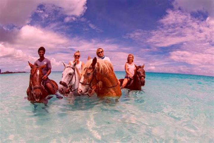 Escorts Palm Grove, Turks and Caicos Islands — Local Companions