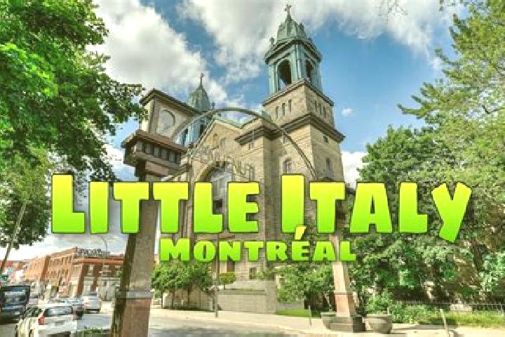 Escorts Palmerston-Little Italy, Canada — Local Companions