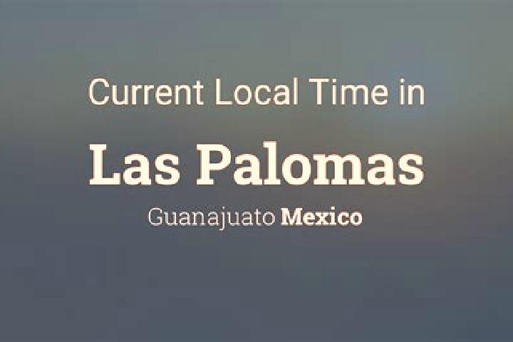 Escorts Palomas, Mexico — Local Companions