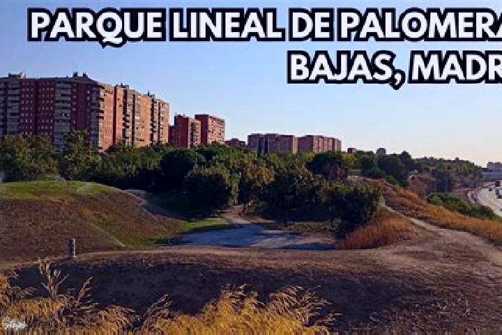Escorts Palomeras Bajas, Spain — Local Companions