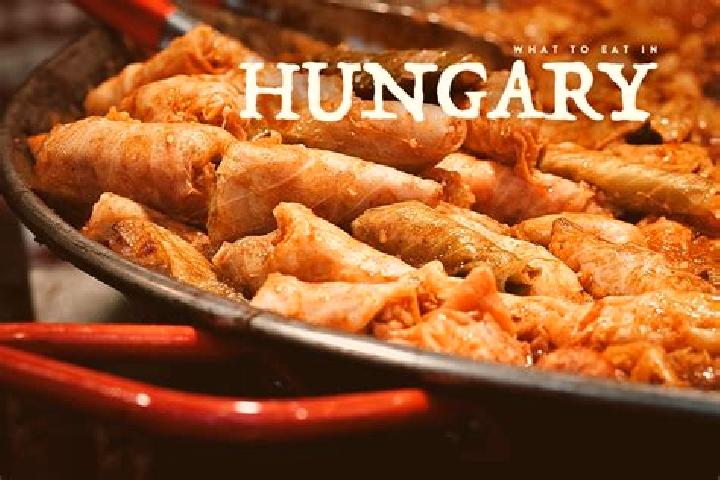 Escorts Palotanegyed, Hungary — Local Companions