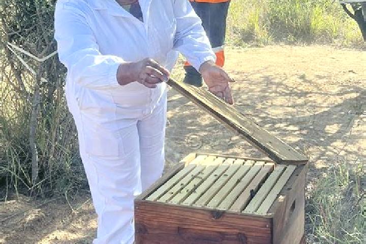 Escorts Pandamatenga, Botswana — Local Companions
