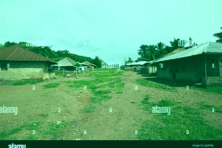 Escorts Panguma, Sierra Leone — Local Companions