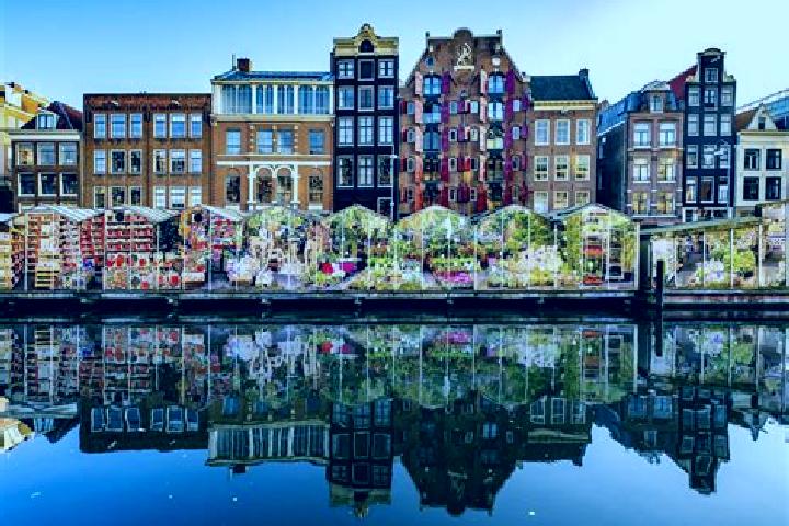 Escorts Pannerden, Netherlands — Local Companions