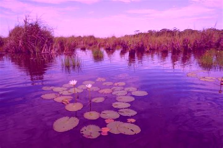 Escorts Pantanal, Mexico — Local Companions