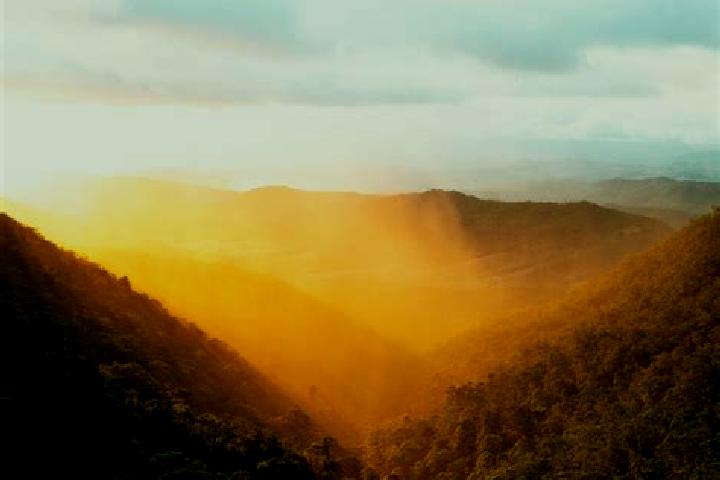 Escorts Para Hills, Australia — Local Companions