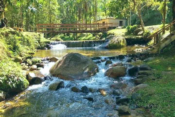 Escorts Paraiso das Aguas, Brazil — Local Companions