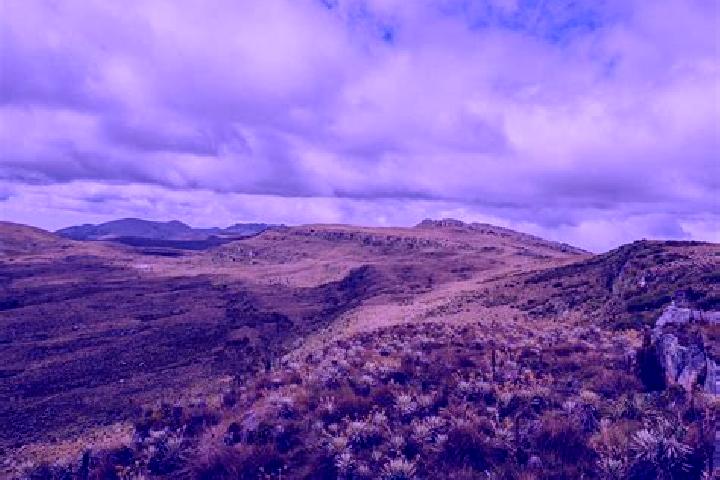 Escorts Paramo, Colombia — Local Companions