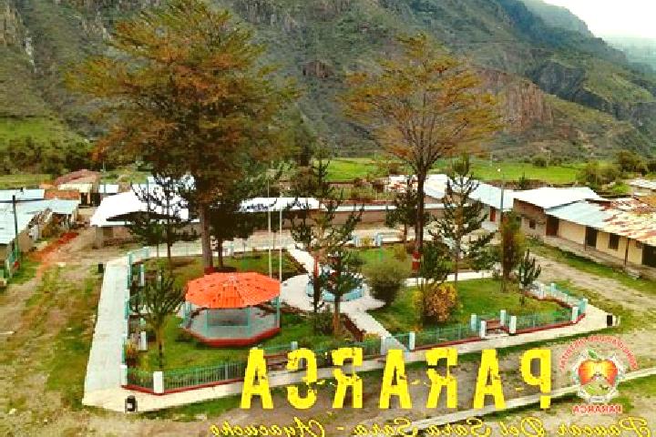 Escorts Pararca, Peru — Local Companions