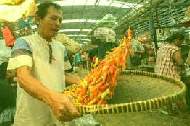Escorts Pasar Sabtu, Indonesia — Local Companions
