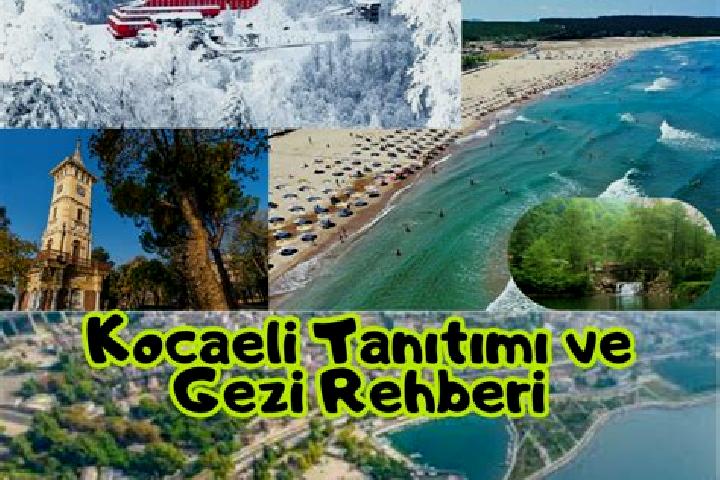 Escorts Pasinler, Turkey — Local Companions