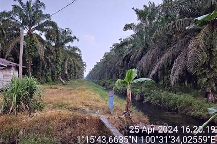 Escorts Pasir Pengaraian, Indonesia — Local Companions
