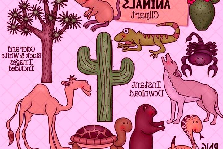 Escorts Paso Lagarto, Mexico — Local Companions