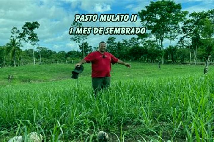 Escorts Paso Mulato, Mexico — Local Companions