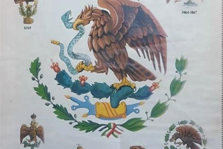 Escorts Paso Nacional, Mexico — Local Companions