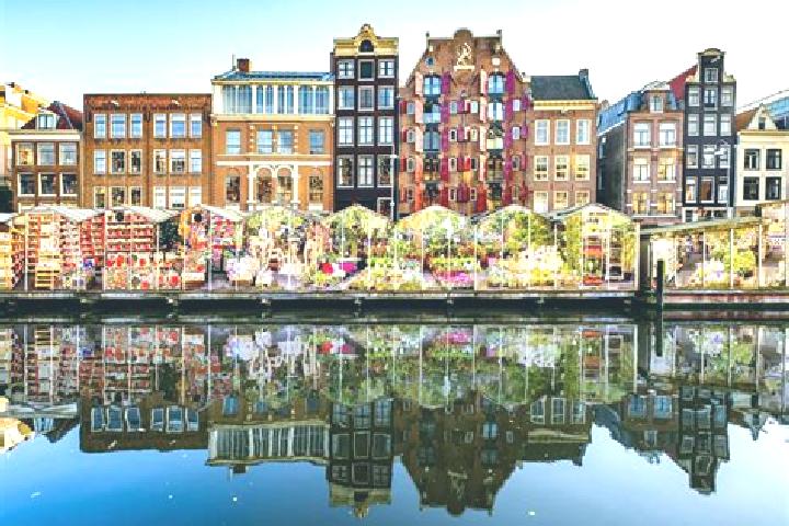 Escorts Passart, Netherlands — Local Companions