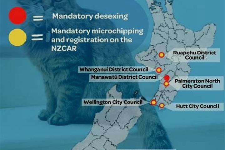 Escorts Patumahoe, New Zealand — Local Companions