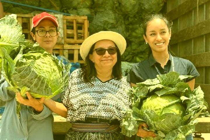 Escorts Patzicia, Guatemala — Local Companions