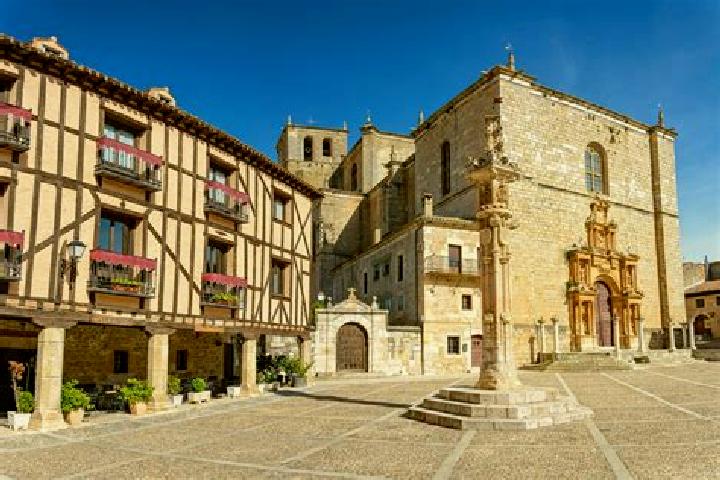 Escorts Pedrosa de Duero, Spain — Local Companions