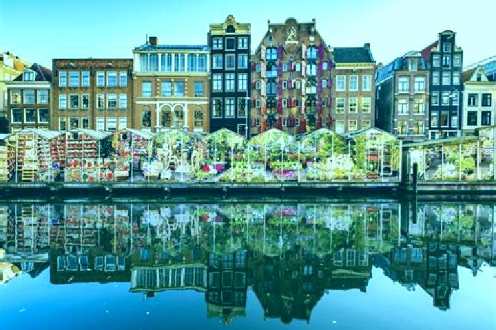 Escorts Peij, Netherlands — Local Companions