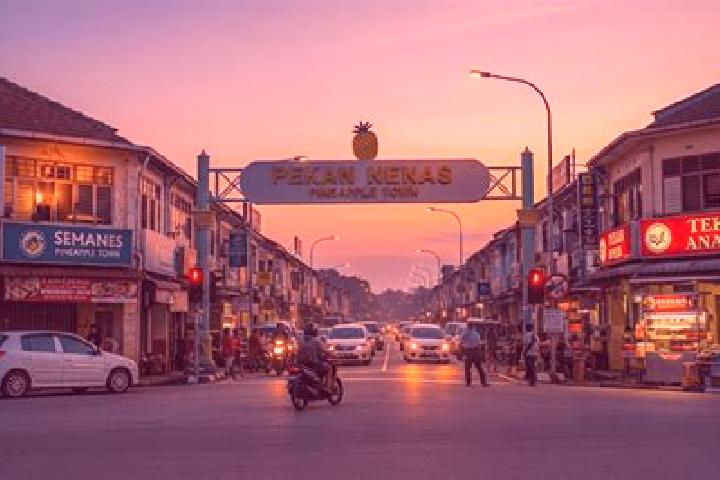 Escorts Pekan Nenas, Malaysia — Local Companions