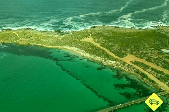 Escorts Pelican Point, Australia — Local Companions
