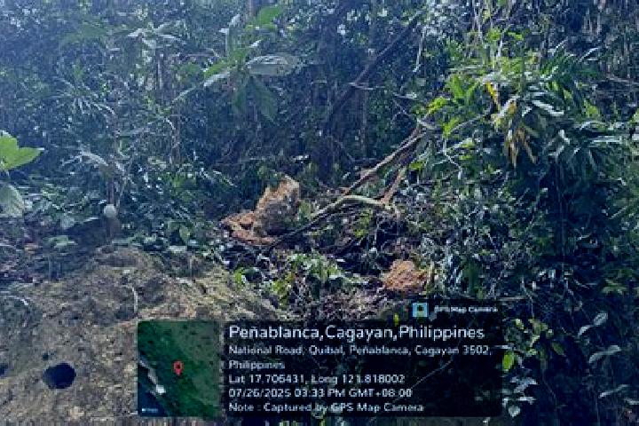 Escorts Penablanca, Philippines — Local Companions