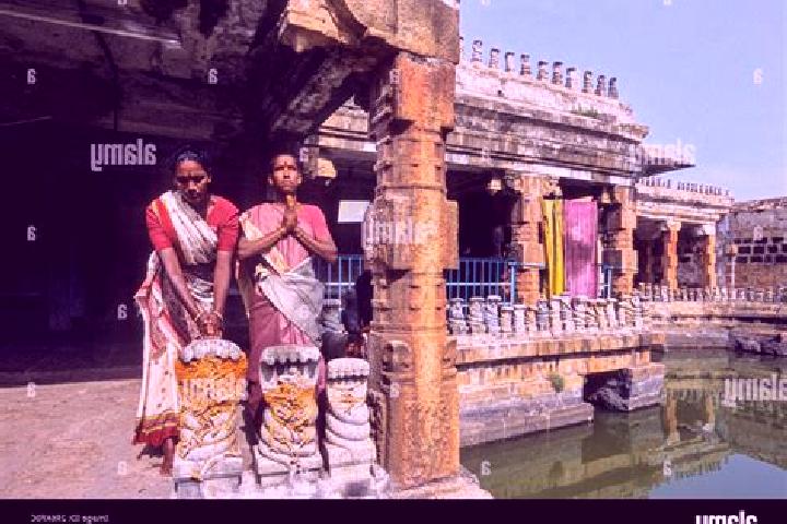 Escorts Peraiyur, India — Local Companions