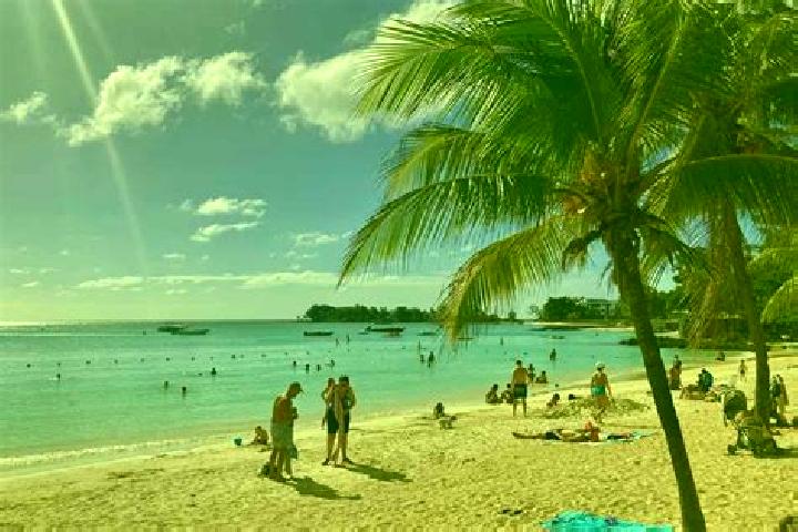 Escorts Pereybere, Mauritius — Local Companions