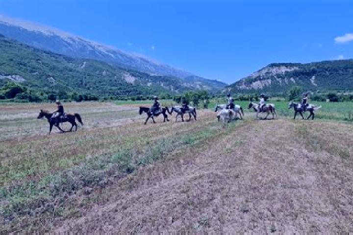 Escorts Permet, Albania — Local Companions