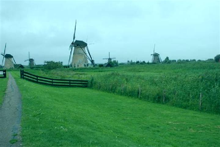 Escorts Pernis, Netherlands — Local Companions
