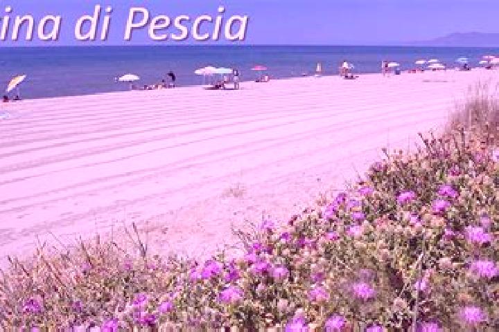 Escorts Pescia Romana, Italy — Local Companions